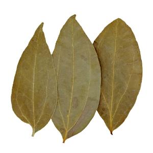 Cinnamon leaves