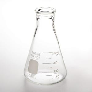 Pyrex® Erlenmeyer Flasks