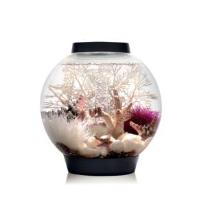 biOrb® CLASSIC Aquaria