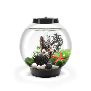 biOrb® CLASSIC Aquaria