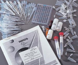Ward's® Introduction to Antibody Detection by ELISA Lab Activity