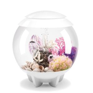 biOrb® HALO Aquaria