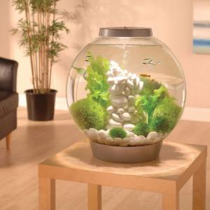 biOrb® CLASSIC Aquaria