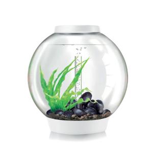 biOrb® CLASSIC Aquaria