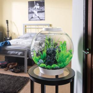 biOrb® CLASSIC Aquaria