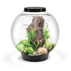 biOrb® CLASSIC Aquaria