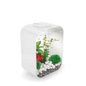 biOrb® LIFE Aquaria