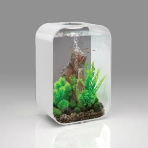 biOrb® LIFE Aquaria