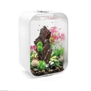 biOrb® LIFE Aquaria