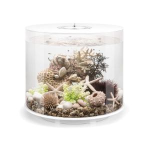 biOrb® TUBE Aquaria