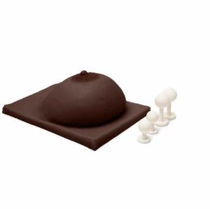 Sim breast model with mass-DK