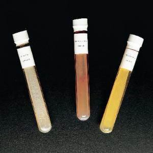 Ward's® Bacteria Forms Set