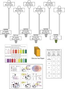 Science Take-Out® Diagnosing Diabetes