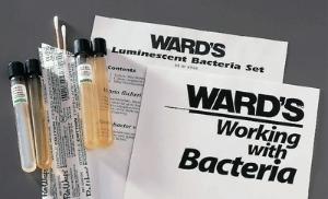 Ward's® Luminescent Bacteria Set