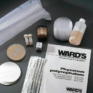 Ward's® Physarum Culture and Study Kit