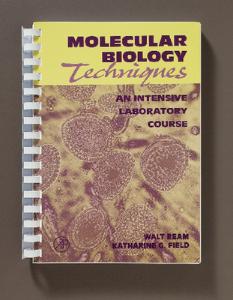 Molecular Biology Techniques: An Intensive Laboratory Course