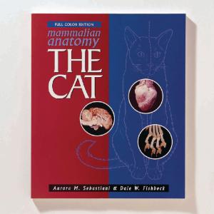 Mammalian Anatomy: The Cat