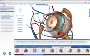 Visible Body® Anatomy And Physiology