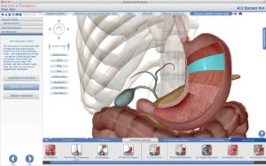 Visible Body® Anatomy And Physiology