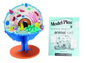 Model Plus: Cells