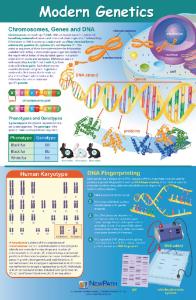 Curriculum Mastery Posters