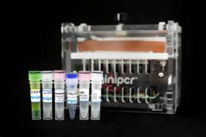 miniPCR® GMO Detection Lab