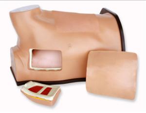 Chest tube/ultrasound guided thoracentesis model