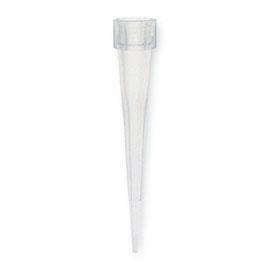 TBR Micropipet Tip