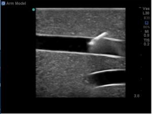 Peripheral doppler µltrasound training model