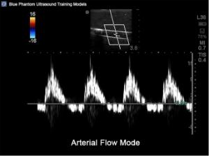 Peripheral doppler µltrasound training model