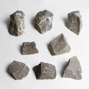 Ward's Science Essentials® Limestone