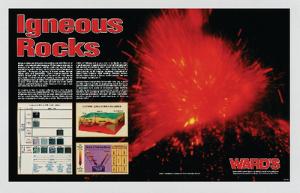 Ward's® Igneous Rocks Poster