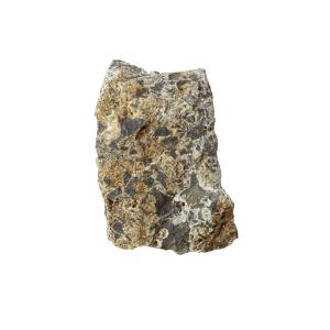 Ward's Science Essentials® Breccia