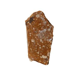 Ward's Science Essentials® Chert