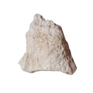 Ward's Science Essentials® Pumice