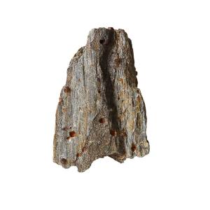 Ward's Science Essentials® Garnet Schist