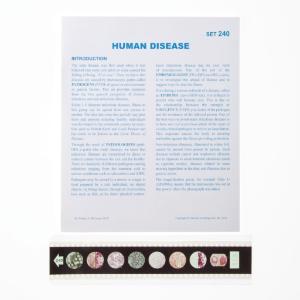 Human Disease Microslide