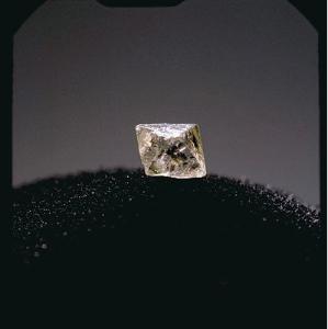 Ward's® Diamond