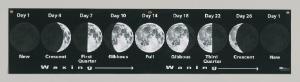 Lunar Cycle Banner