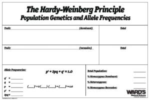 Ward's® Hardy-Weinberg Dry Erase Board