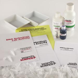 Ward's® DNA Detectives Lab Activity