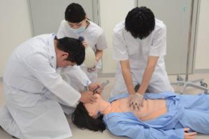 Kyoto Kagaku® Patient Care Simulator 'Yae'
