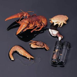 Ward's® Crustacean Collection