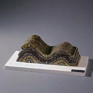 Normal Anticline and Syncline Model