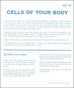 Cells of your body