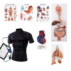 Intro to wearable auscultation kit