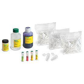 Opioid Kit with FastBlast Electrophoresis Reagent