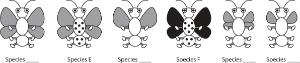 Science Take-Out® What Is It? Dichotomous Keys