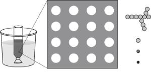Science Take-Out® Cell Membranes: Diffusion And Osmosis