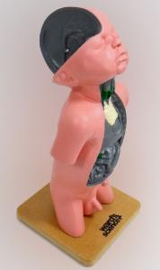 Ward's® Male Infant Endocrine System Model